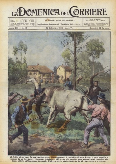 Bir boğanın öldürülmesi by Achille Beltrame