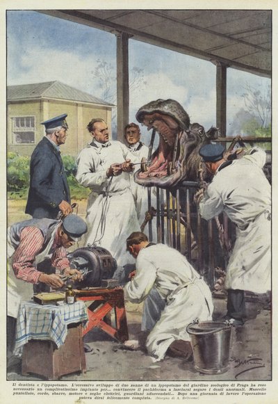 Diş hekimi ve su aygırı by Achille Beltrame