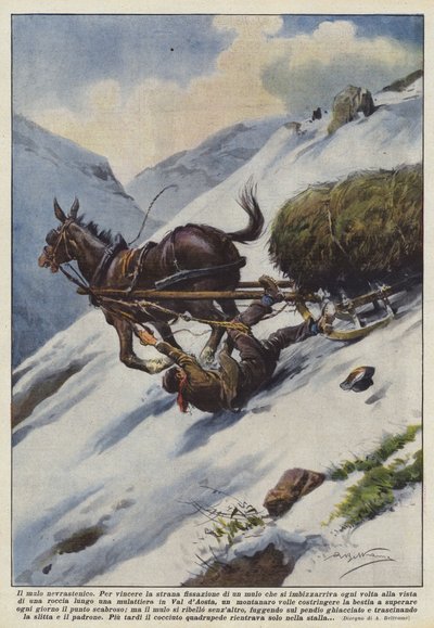 nevrastenik katır by Achille Beltrame