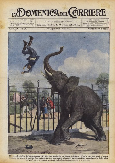 Pachyderm