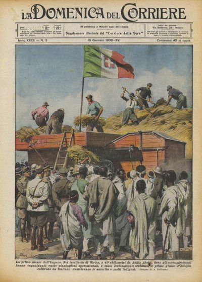 İmparatorluğun ilk hasadı by Achille Beltrame