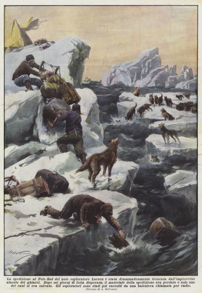 Larsen
