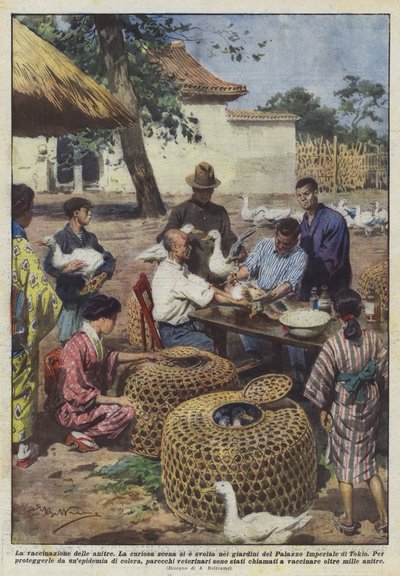 ördeklerin aşılanması by Achille Beltrame