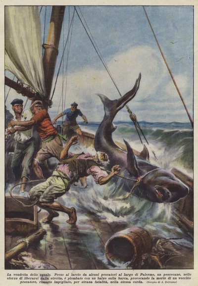 Köpekbalığının İntikamı by Achille Beltrame