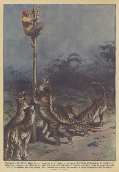 kaplanların kuşatması by Achille Beltrame