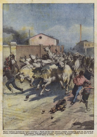 Napoli
