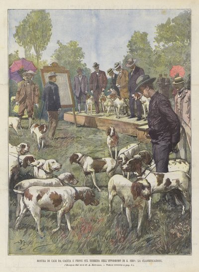 Siro Hipodromunda Av Köpekleri Gösterisi ve Yer Denemeleri, Sınıflandırma by Achille Beltrame