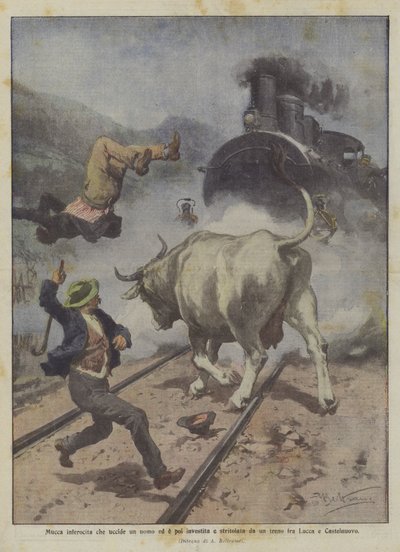 Bir adamı öldüren ve ardından Lucca ile Castelnuovo arasındaki bir trenin çarptığı ve ezdiği kızgın bir inek by Achille Beltrame