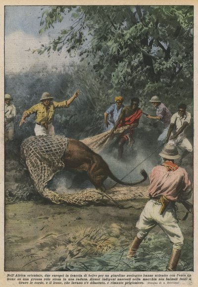 Doğu Afrika