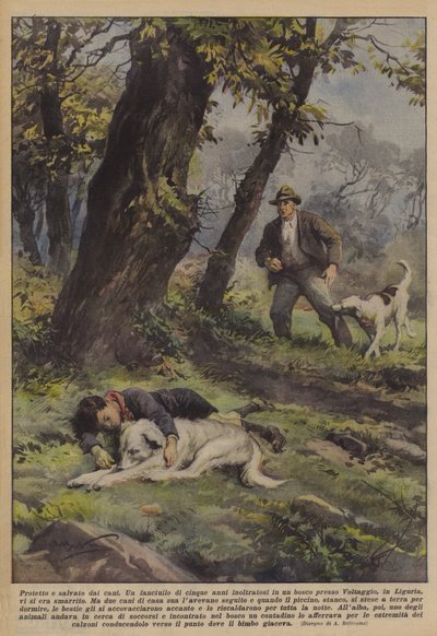 Köpekler tarafından korunur ve kurtarılır by Achille Beltrame
