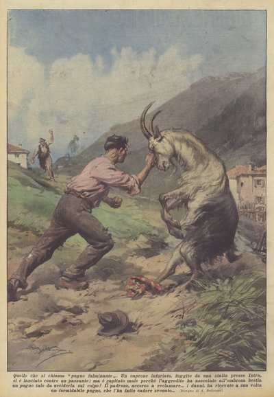 Yıldırım darbesi denilen şey by Achille Beltrame