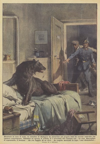 Gece eve döndüğünde, bir Budapeşte vatandaşı yatağında kocaman bir adam gördü mü? by Achille Beltrame