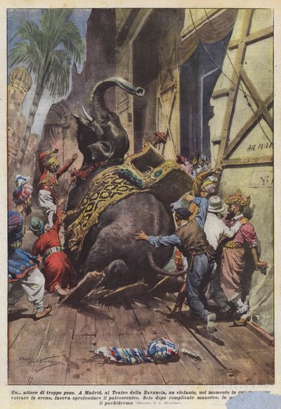 A? çok kilolu oyuncu by Achille Beltrame