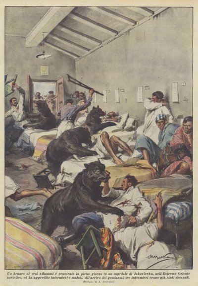 Yakovlevka hastanesine güpegündüz bir sürü aç ayı mı girdi? by Achille Beltrame