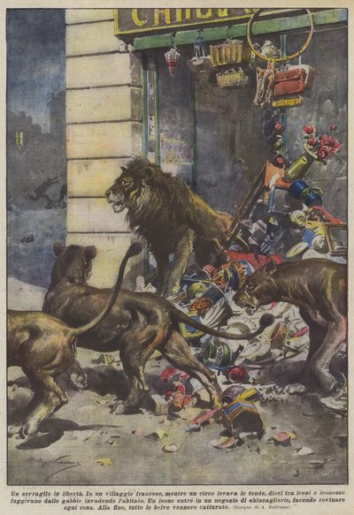 Gevşek bir hayvanat bahçesi by Achille Beltrame