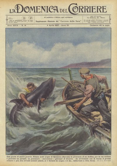 Yeni bir balık türü by Achille Beltrame