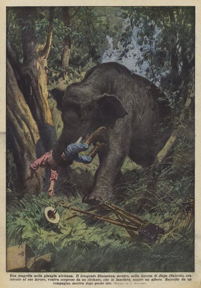 Afrika ormanlarında bir trajedi by Achille Beltrame