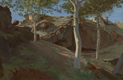  by Achille Etna Michallon