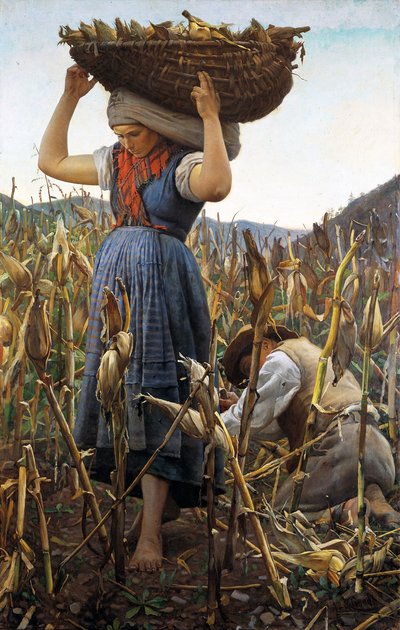 Mısır hasadı, 1881. by Achille Glisenti
