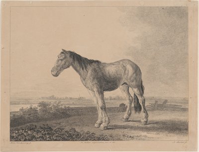 Soldan profilde bir tarlada duran at, 1809. by Adam von Bartsch