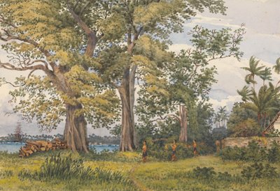  by Admiral Sir Edward Gennys Fanshawe