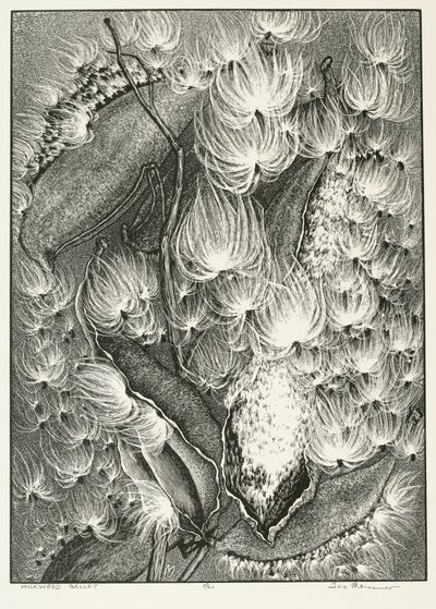 süt otu balesi by Adolf Ernst Meissner