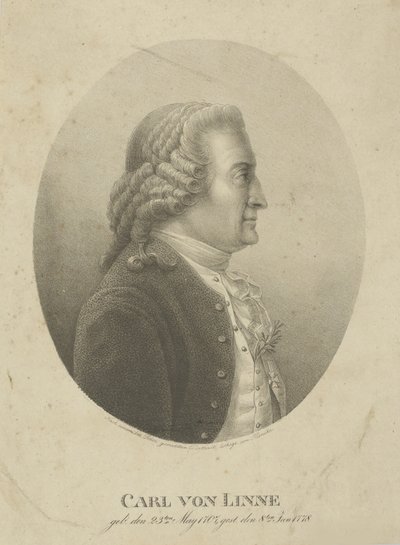 Carl Linnaeus