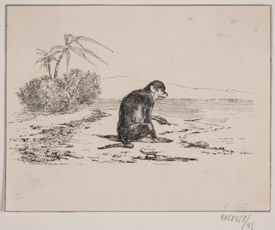 Abekatten by Johan Adolph Kittendorff