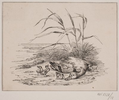 öldürülen ördek by Johan Adolph Kittendorff