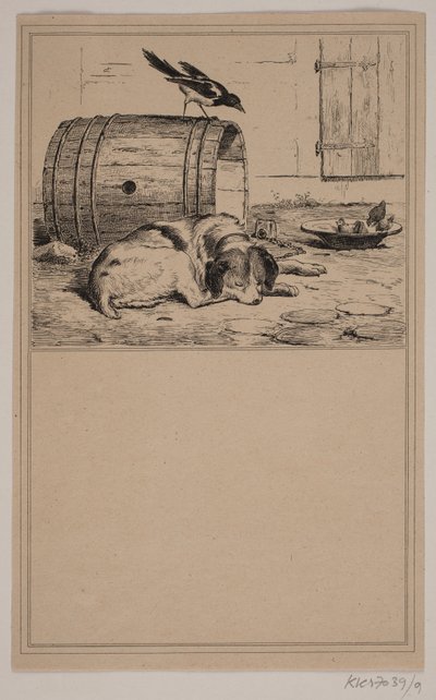 Köpeğin çukuru. No. 8