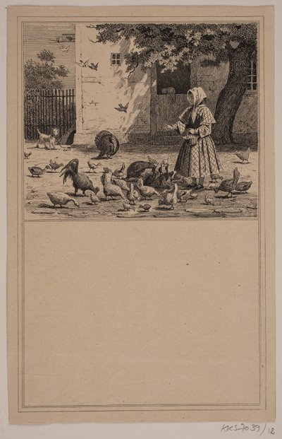 Tavuk kümesinde. No. 11