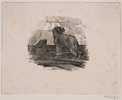 kaniş köpeği by Johan Adolph Kittendorff