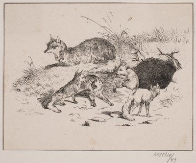 Tilki by Johan Adolph Kittendorff
