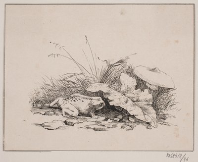 Karakurbağası by Johan Adolph Kittendorff