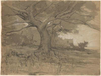 Bir Ormanın Kenarında Büyük Bir Kayın Ağacı by Adolphe Appian
