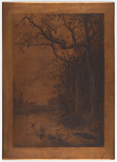 Adolphe Appian tarafından kazınmış bakır levha "Ördeklerle Manzara" by Adolphe Appian