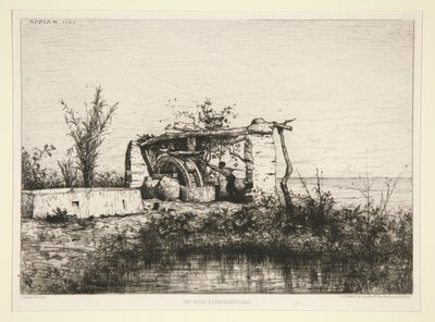 Bordiquier