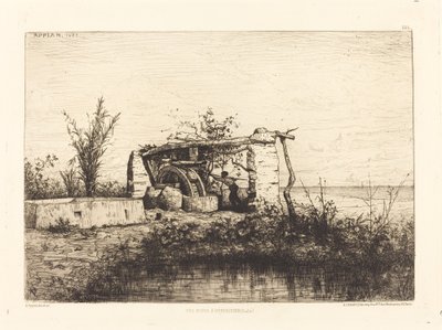 Bordiquier