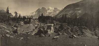  by Adolphe Braun