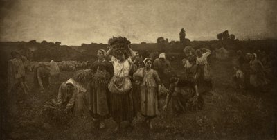  by Adolphe Braun