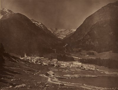  by Adolphe Braun