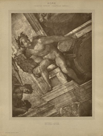  by Adolphe Braun