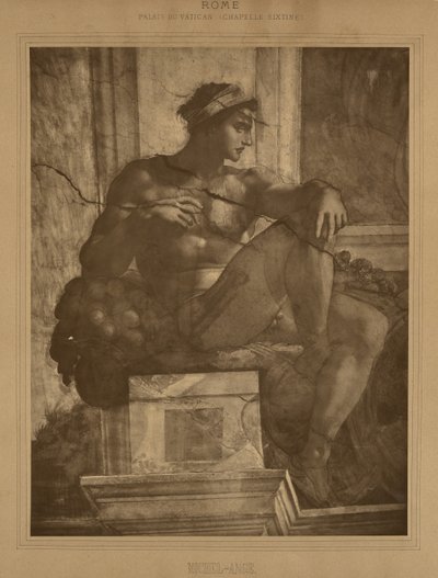  by Adolphe Braun