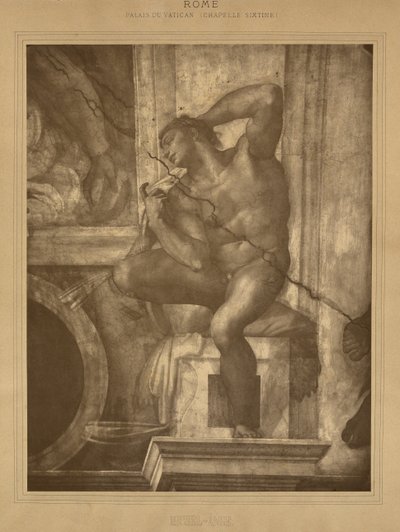  by Adolphe Braun