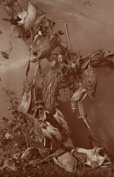  by Adolphe Braun