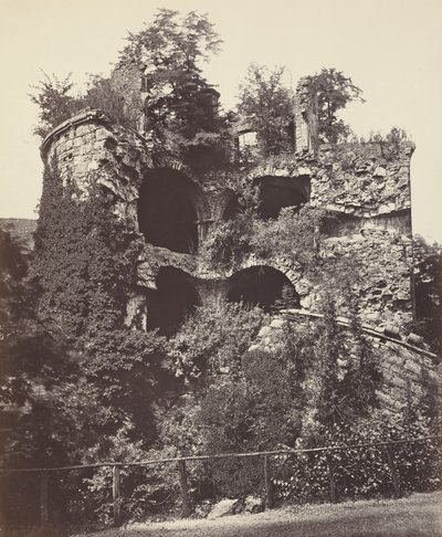  by Adolphe Braun