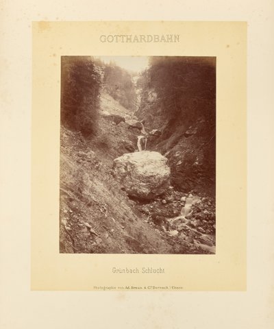  by Adolphe Braun and Cie