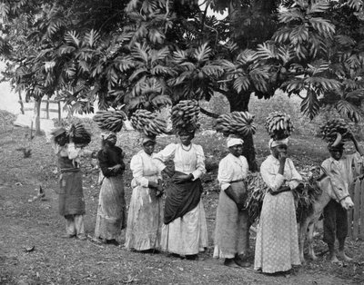 Muz taşıyıcılar, Jamaika, c1905 by Adolphe Duperly and Son