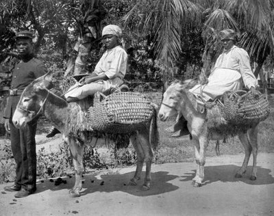 Hapishaneye, Jamaika, c1905. by Adolphe Duperly and Son