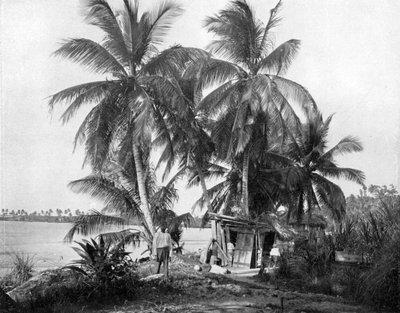 Blue Hole yolunda, Port Antonio, Jamaika, c1905. by Adolphe Duperly and Son